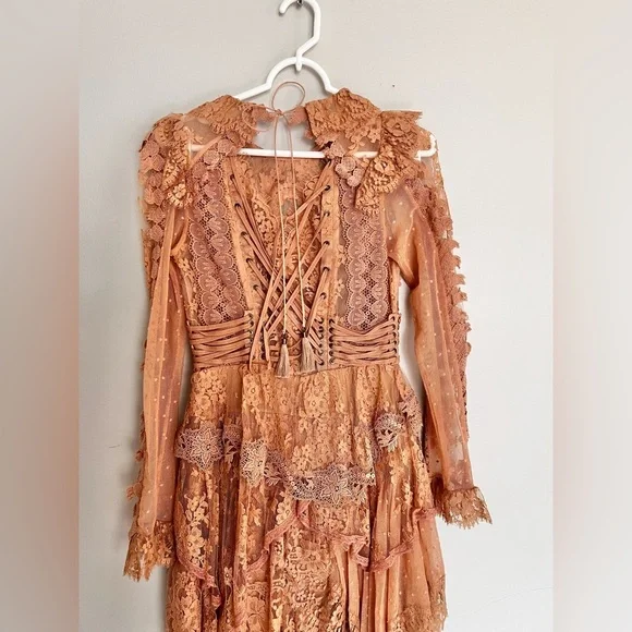 Super Rare 2017 Zimmermann Bowerbird Romance Mini Dress Runway Dress Size 1 - Picture 10 of 13